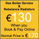 Gas Boiler Service